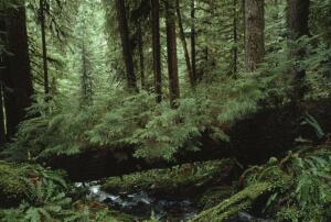 Zdjęcie oferty: Oferta testowego oddziału testowego partnera